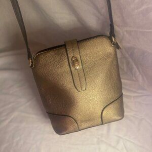 Metallic Gold crossbody bag/purse